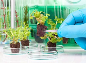 agricultural science and technology development