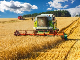 agricultural production and market